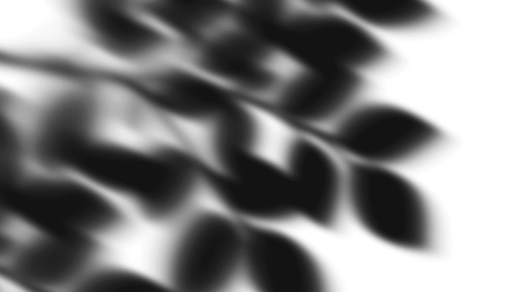 이지스트
